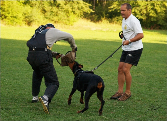 Summer training camp - Jelenec - 2007